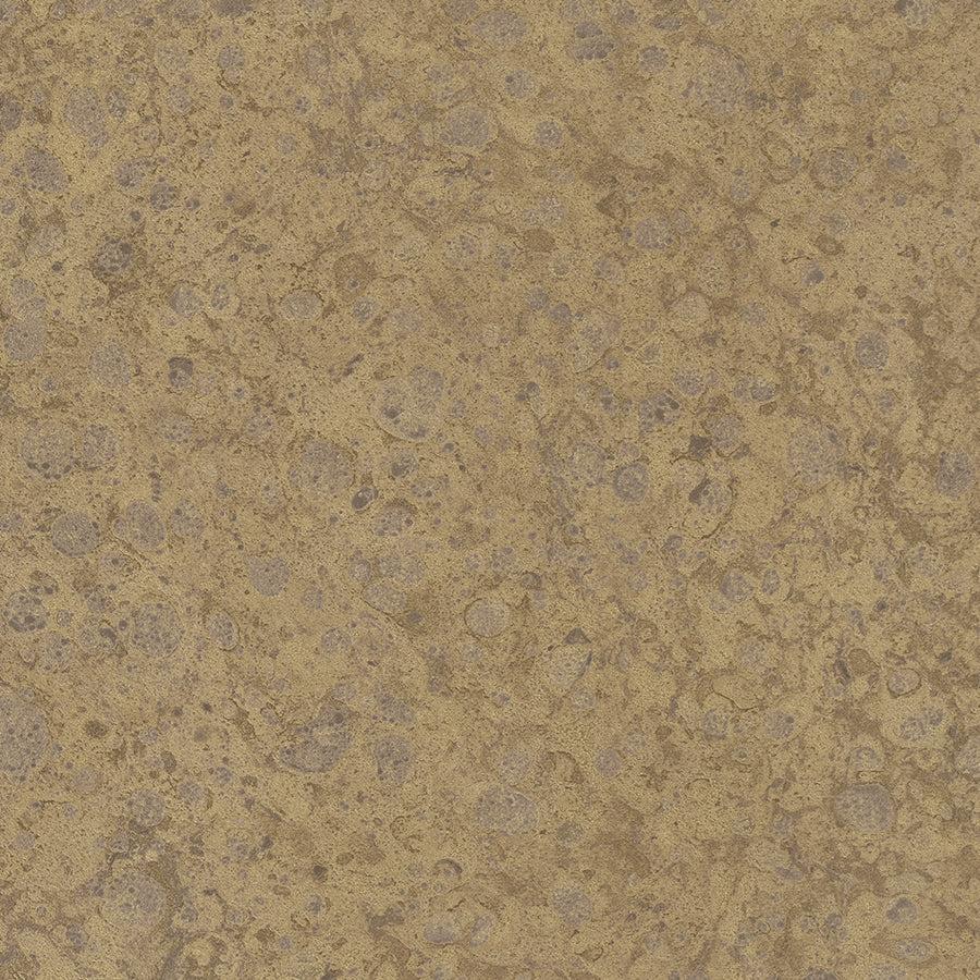 Vliestapete Platinum 31029 Marburg