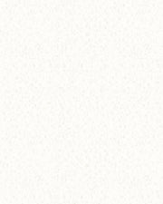 Vliestapete Loft 59345 Marburg