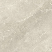 Bodenfliese Taupe Poliert 60x60cm