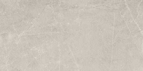 Bodenfliese Silber Poliert 60x120cm