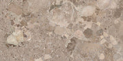 Bodenfliese Bronze Natural 60x120cm