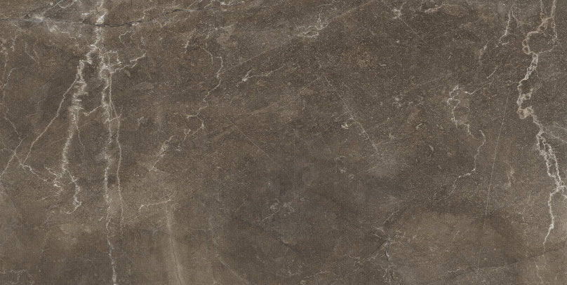 Bodenfliese Natural Braun 60x120 cm