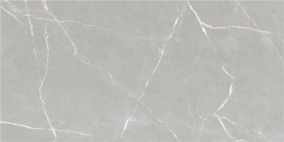 Essenza Grey Rec. Pul 60x120 cm